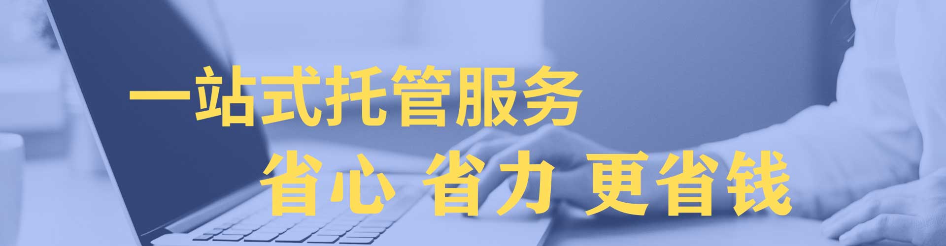 金安sem竞价员